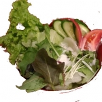 野菜サラダ.jpg